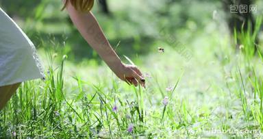 少女手在草丛中采摘花朵蝴蝶飞舞